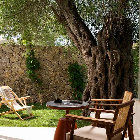 Sentido Apollo Palace 5* Mesongí